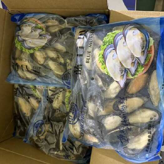 广州捡漏亏本价出，蓝口贝青口