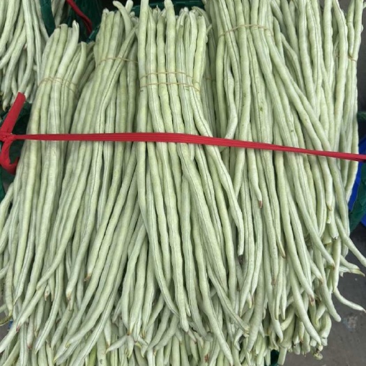 广西白豆角，一手货源，支持全国发货。质量好，物美价廉