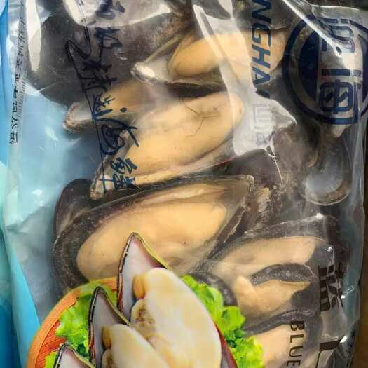 广州捡漏蓝口贝青口