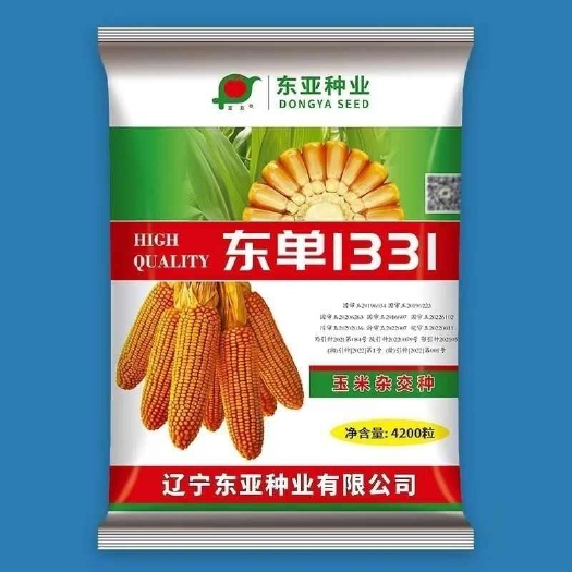 淄博东单1331玉米种子小钢炮玉米种子抗病苞米种籽