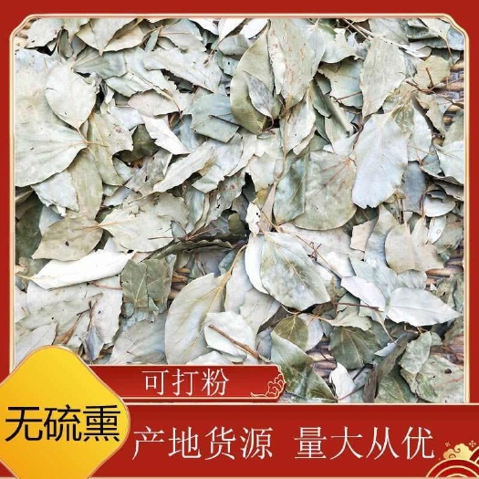 樟叶 中药材 精选樟树叶干 香樟树叶子 樟树叶新货包邮