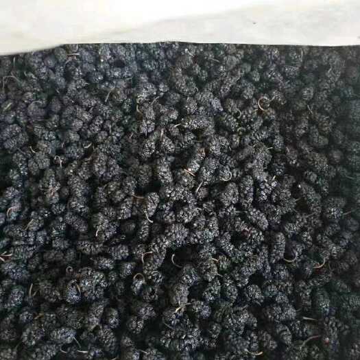 汕头精选桑葚干特产免洗即食果干黑桑椹干泡水泡酒批发批发