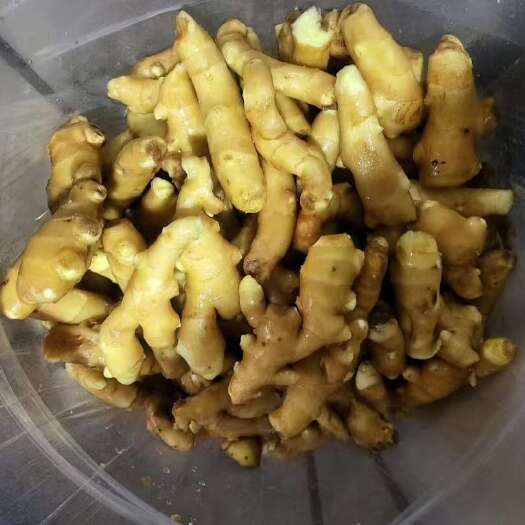 山东姜巴，姜母，大黄姜，二黄姜，小黄姜大量出售。