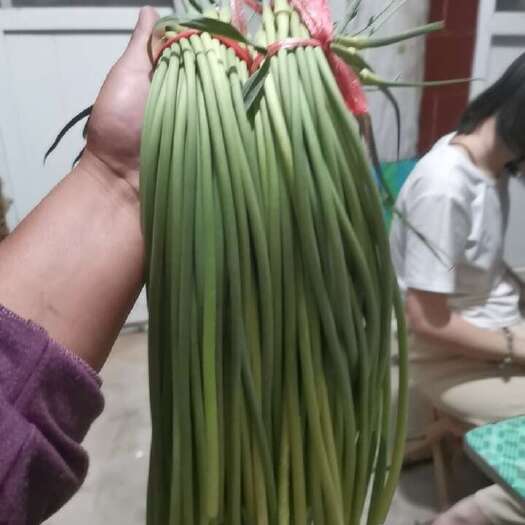 蒜苔