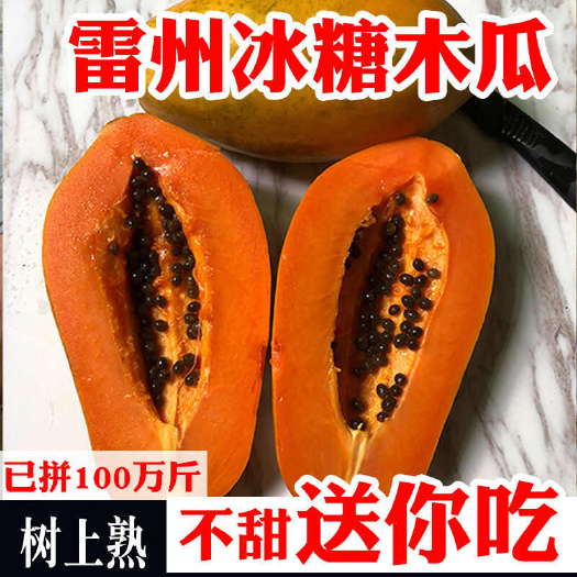 徐闻县雷州优质冰糖红心新鲜树熟木瓜,孕妇水果现摘整箱包邮(不甜包赔