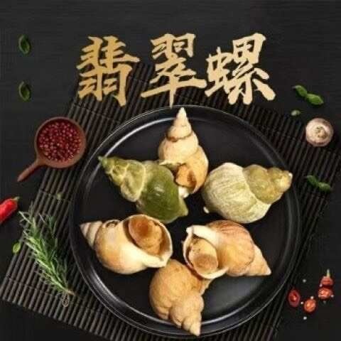 连云港加拿大翡翠螺刺身料理熟冻海螺花螺青螺海鲜水产白螺捞汁海螺