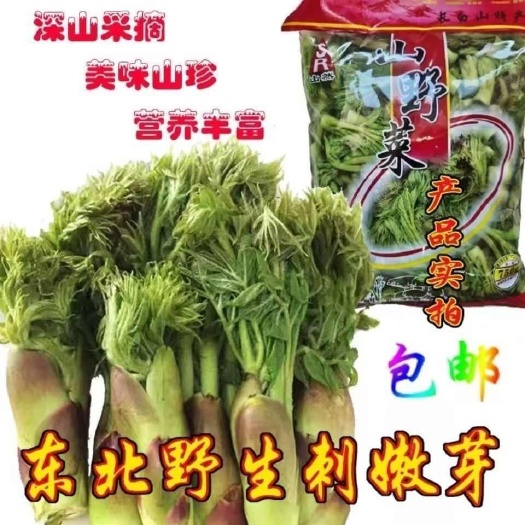 盐津县刺老芽新鲜腌制野菜山菜保鲜袋装500g东北刺嫩芽东北山长白山