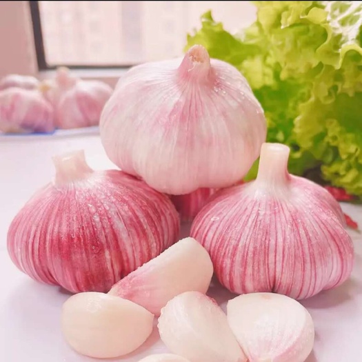 中牟县河南现挖现发新鲜紫白红皮大蒜多瓣干湿大蒜 带箱5斤装一件代发