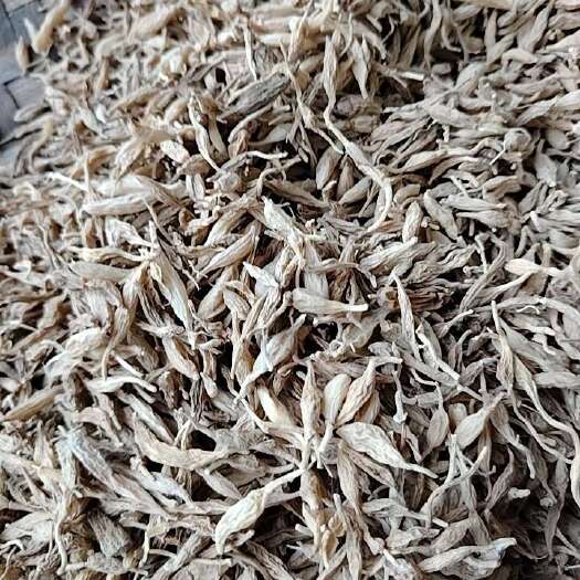 阆中市四川阆中优质麦冬根茎中药材批发