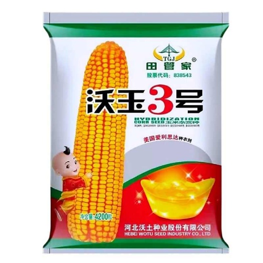 淄博沃玉3号正品原装玉米种子国审沃玉三号玉米种子红轴大棒抗锈耐涝