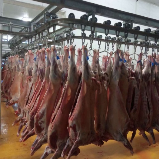 羊百家羊肉好的品质低的价格做的绿色食品安全