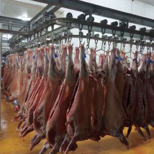 夏邑县羊百家羊肉好的品质低的价格做的绿色食品安全