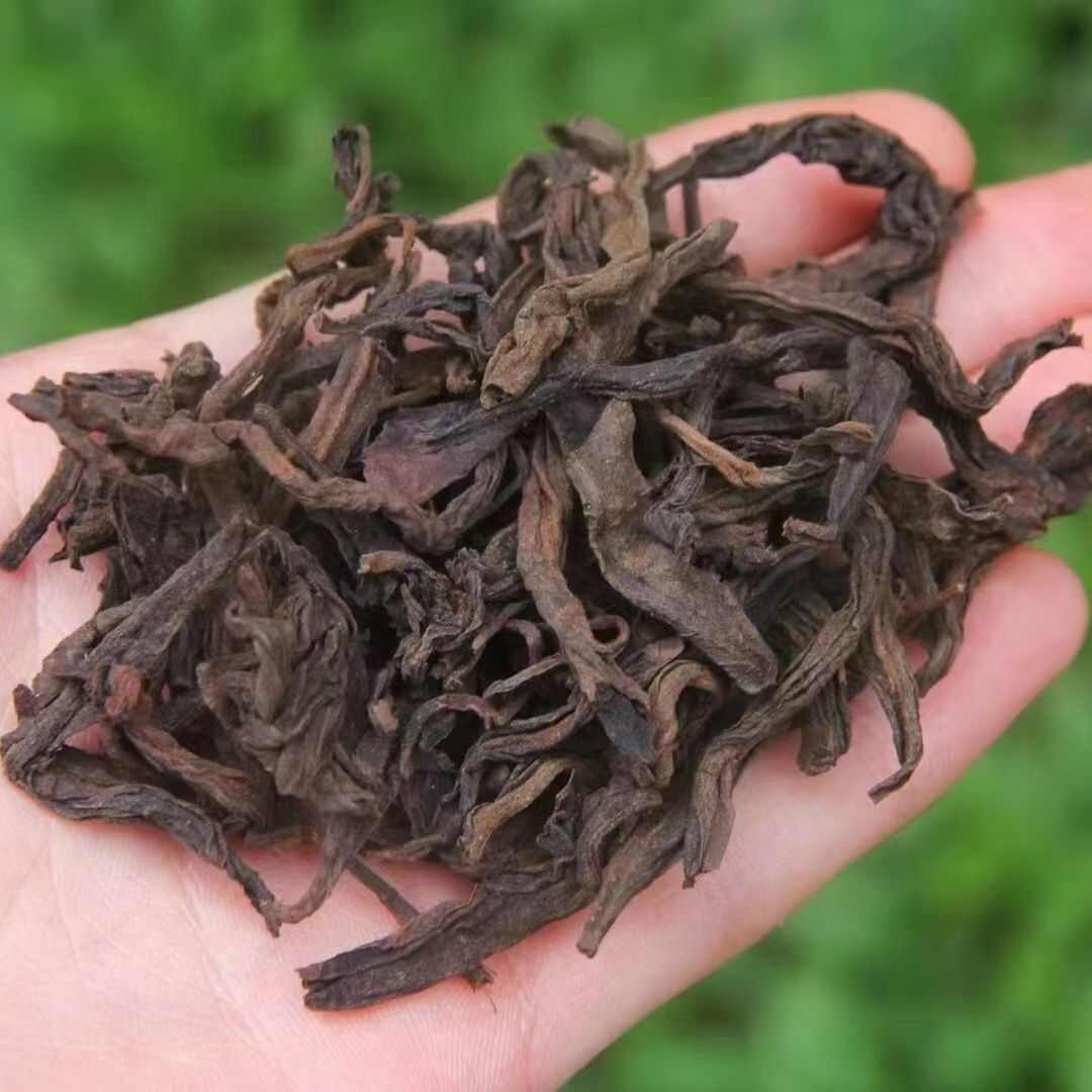 梁河县云南临沧茶区，普洱老熟茶，干仓散茶，古树头春，9年陈年樟香。
