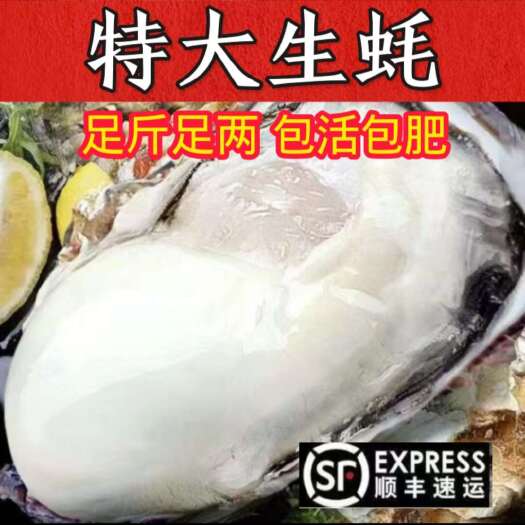 莱西市【生蚝肉】新鲜无壳生蚝肉海蛎子肉鲜冻发货保鲜好(顺丰包邮）