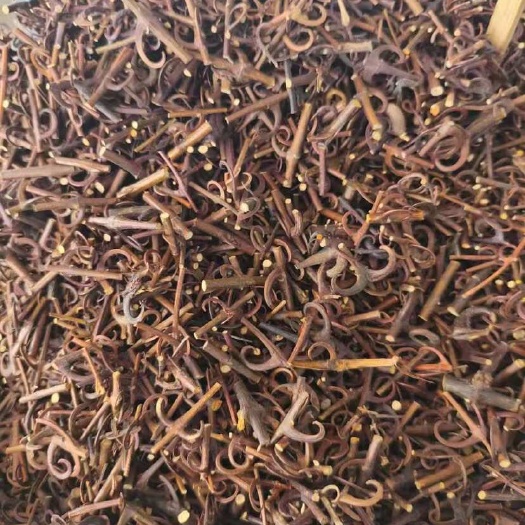 玉林广西玉林钩藤中药材天然藤木植物药材批发供应