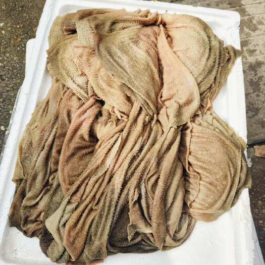 南昌县新鲜牛百叶 优质牛副产品