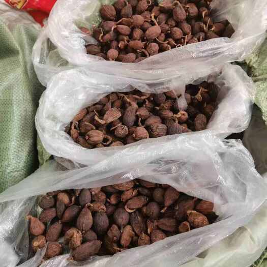 福贡县云南足干统货草果