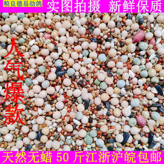 蓝山县A级无玉米幼鸽鸽粮营养信鸽饲料赛鸽子粮食元宝鸽鸟食50斤包邮