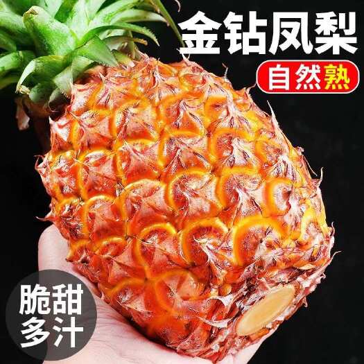 海口海南琼山新鲜金钻凤梨热带水果菠萝海口直发