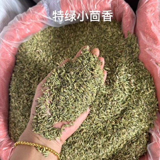 陆川县国产甘肃小茴香