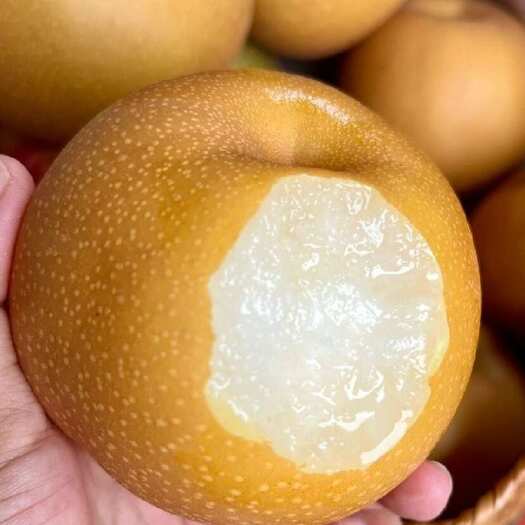 莱西市秋月梨主产区