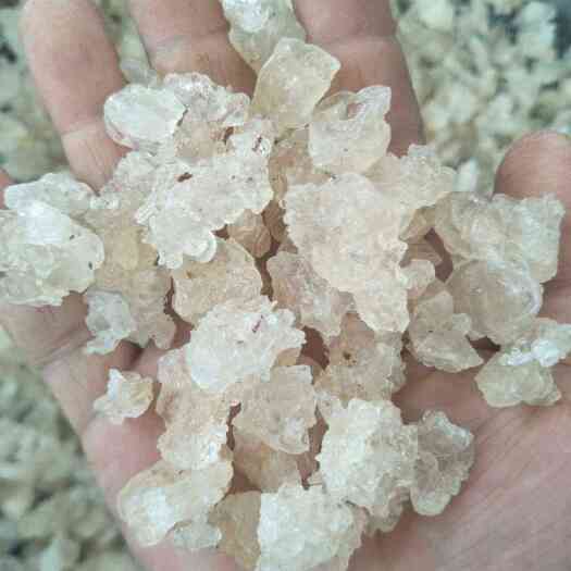 随县雪艳