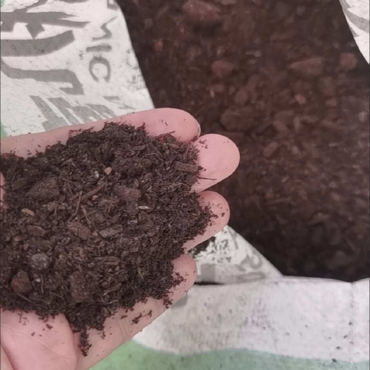 连云港发酵纯蘑菇渣不带土