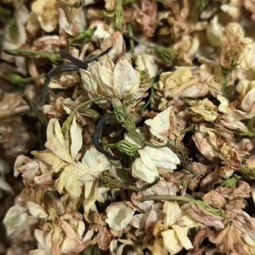 陆川县茉莉花干