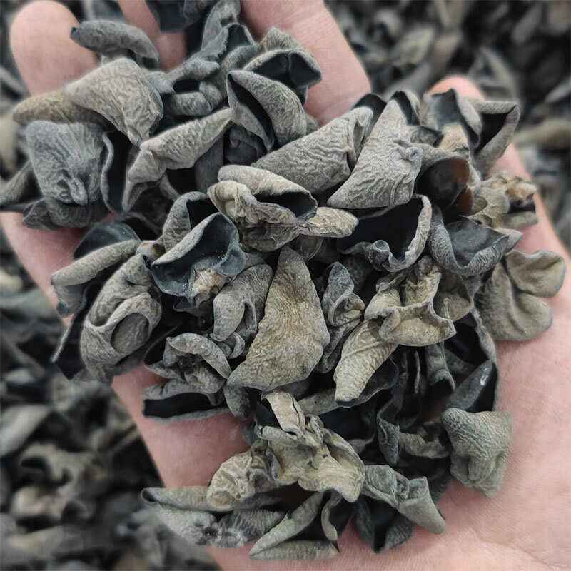 包邮东北黑木耳干货批发出摊赶集展销会小碗耳批发可一件代发电商