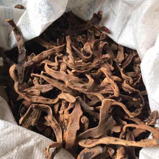 遵义纯正品新货泡酒骨碎补