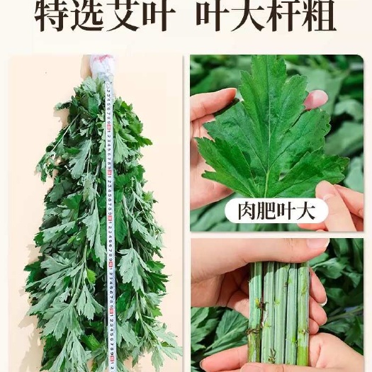 端午艾草 挂门头  做花束 开始预定