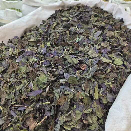 玉林干紫苏