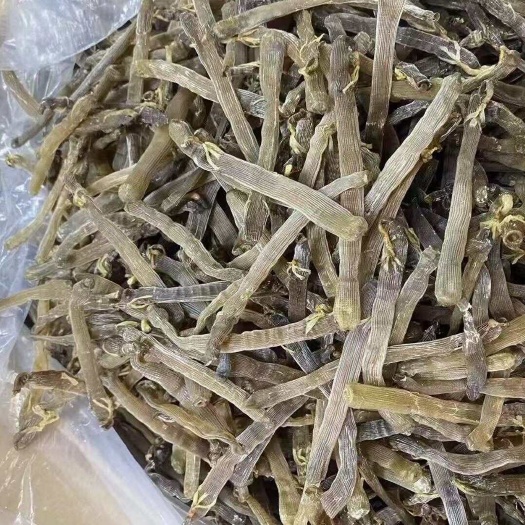 北海北海深海灰沙虫品质有保证价格最性价比