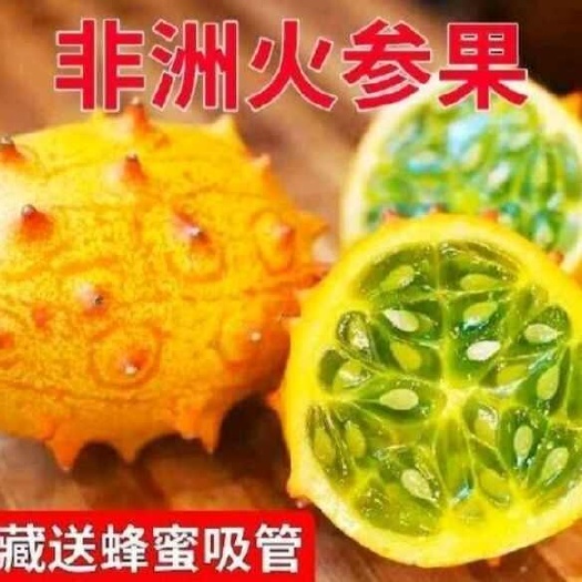 海南火参果(刺角瓜）全国批发