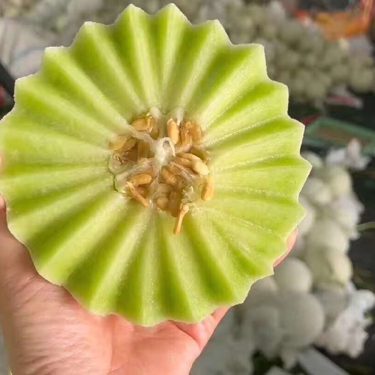 玉菇甜瓜对接电商直播一件代发社区团购市场商超各渠道
