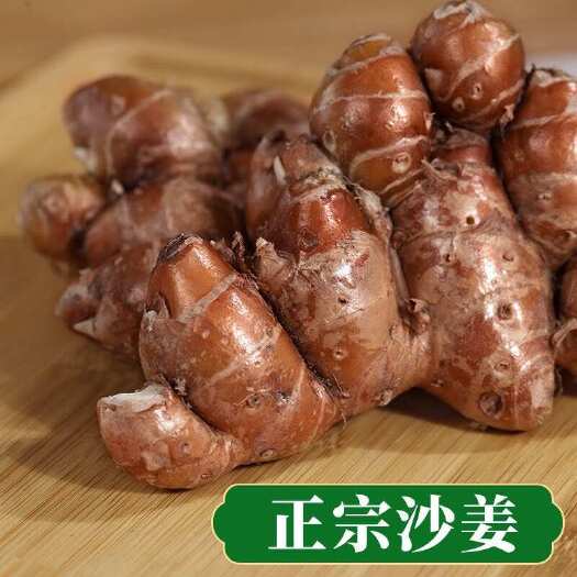 广州广东广州新鲜沙姜 白云区直发 优质蔬菜葱姜蒜系列