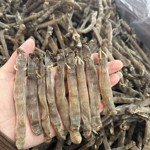 北海北海沙虫干价格便宜喜欢老板