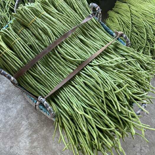 合浦县广西豆角精品青条豆角长豆角 货源充足 现摘现发 诚信经营