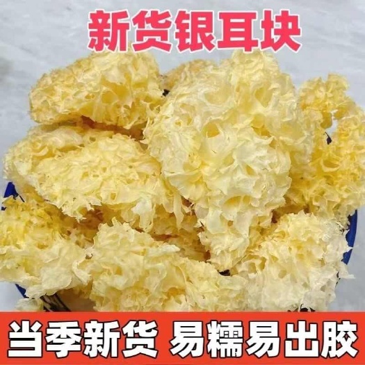古田县银耳通货银耳大块碎片大花银耳食农产品银耳古田产地直发