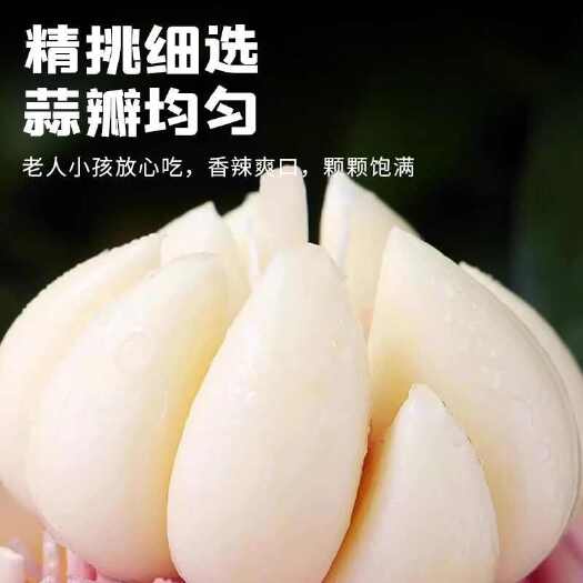 卫辉市新大蒜鲜