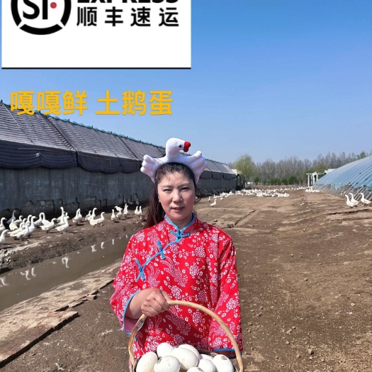 辽阳散养鲜鹅蛋   二两四-二两八
