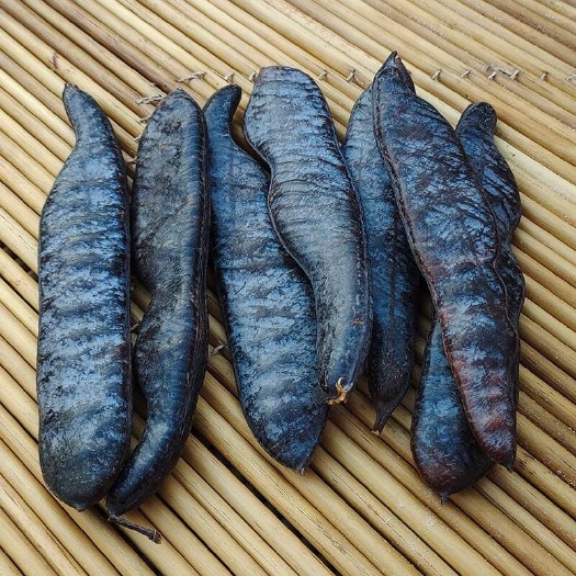 平顶山大皂角 干皂角 皂角段 皂角粉  个个大颗