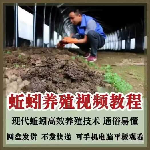 桐乡市蚯蚓养殖技术视频教程
