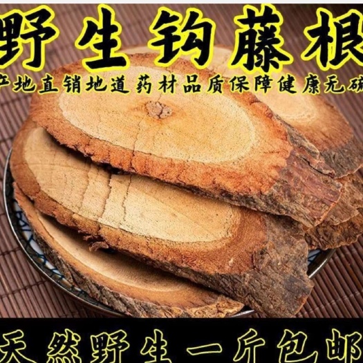 惠州钩藤根