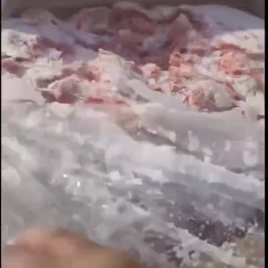 大厂县国产牛碎肉90比例