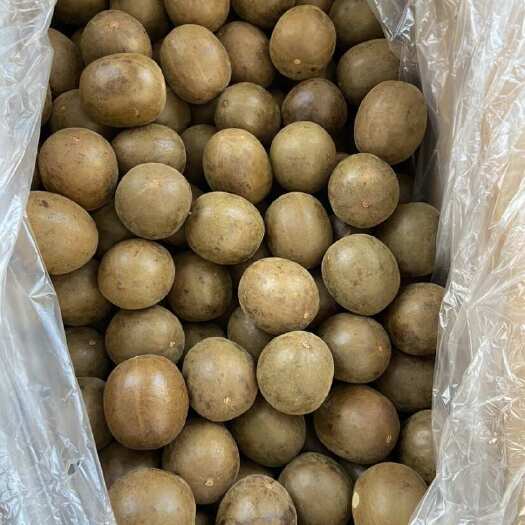 亳州罗汉果
