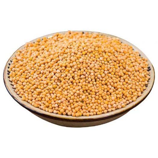 亳州中药材白芥子 批发药材 量大从优
