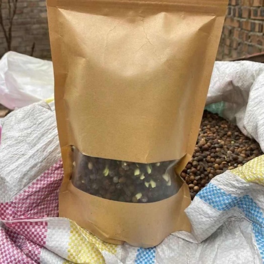 牡丹花肥芍药肥料牡丹专用肥复合肥壮根营养缓释盆栽花卉植物花肥