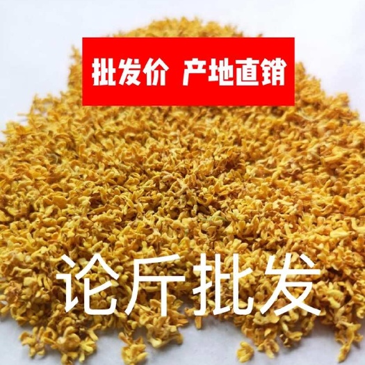 阳朔县桂林无硫金桂花 烘干无硫  冻干   微波桂花干桂花茶