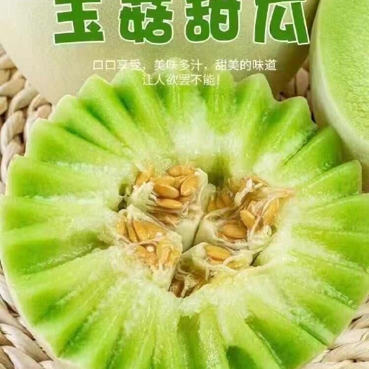 山东莘县原产地直发玉菇甜瓜